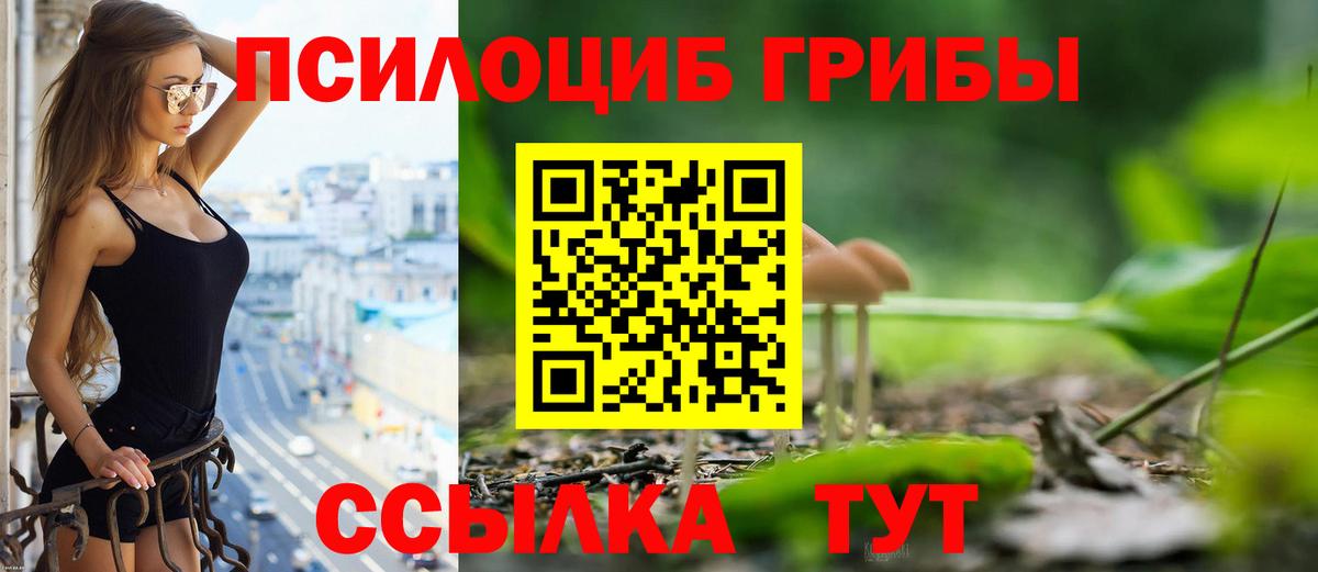 Псилоцибиновые грибы Cubensis Богородицк